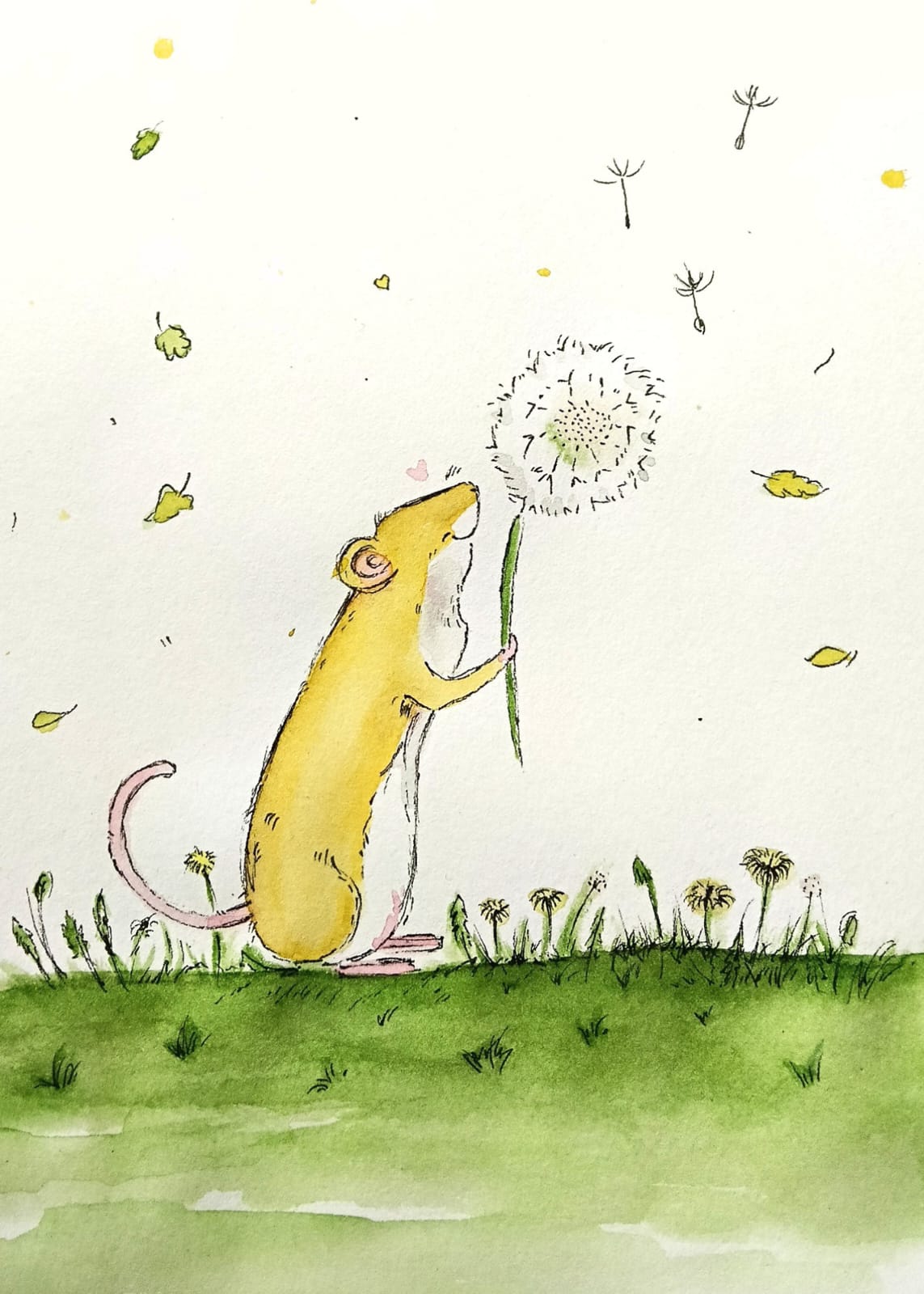 Chasing dandelion